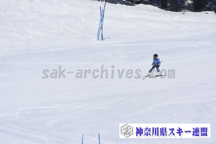 190302_115431_0.jpg