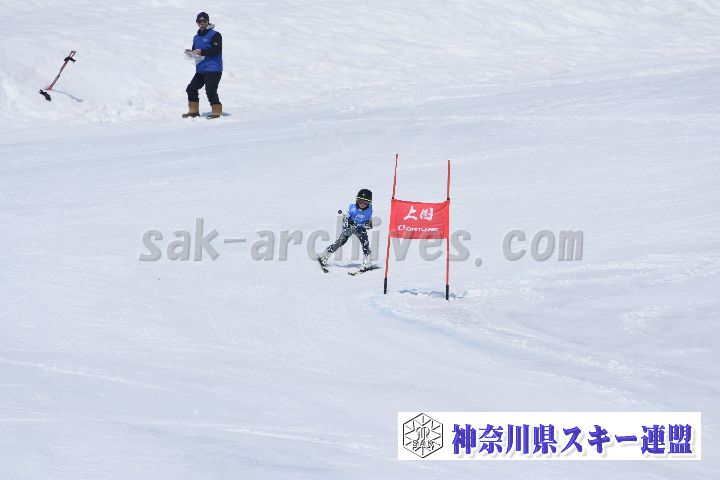 190302_115433_0.jpg