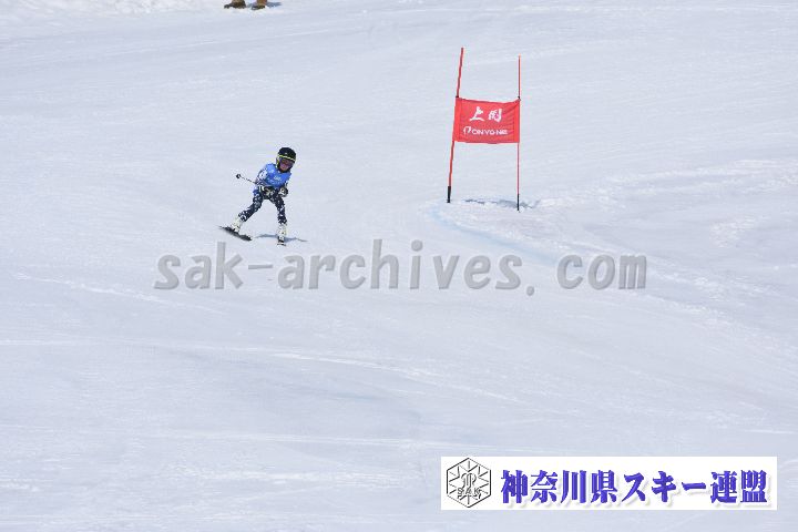 190302_115433_3.jpg