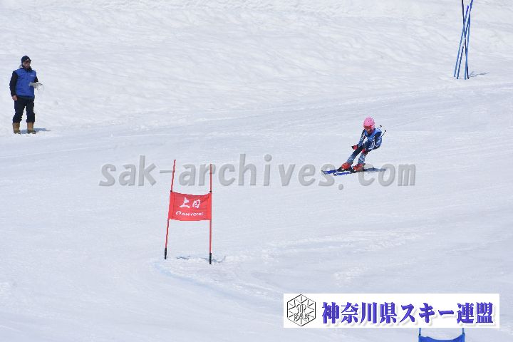 190302_115944_0.jpg