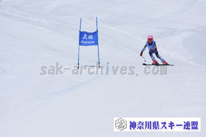 190302_115947_3.jpg
