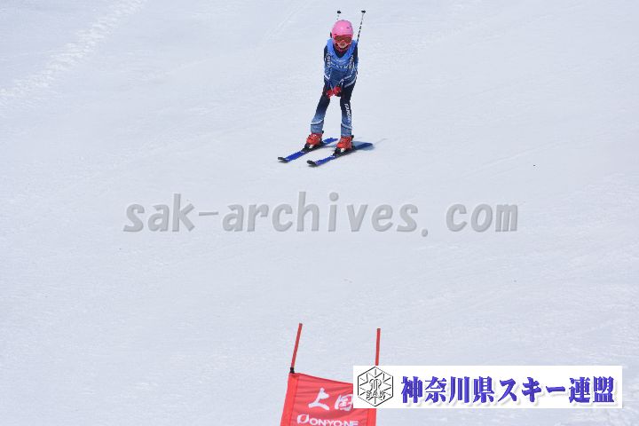 190302_115949_2.jpg