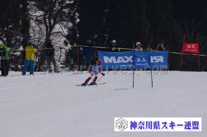 190302_120123_1.jpg