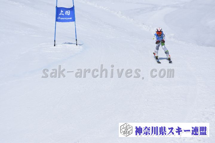 190302_121347_0.jpg