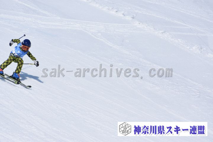 190302_121428_2.jpg