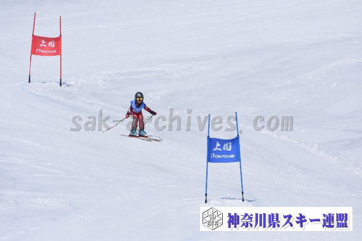190302_121548_3.jpg
