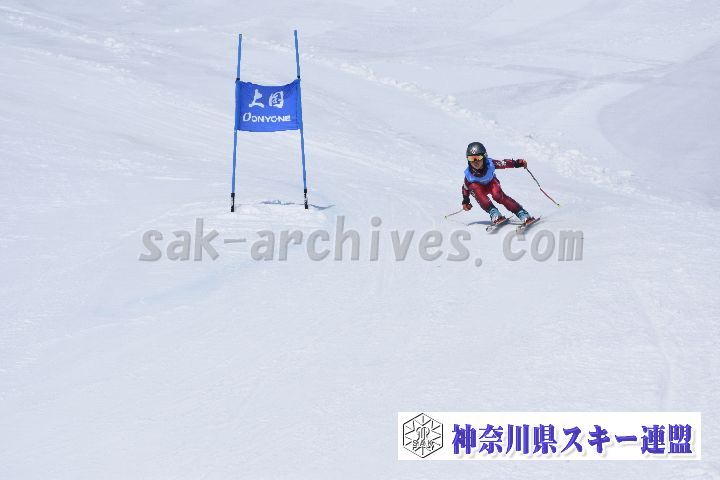 190302_121550_0.jpg