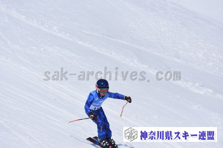 190302_121831_4.jpg