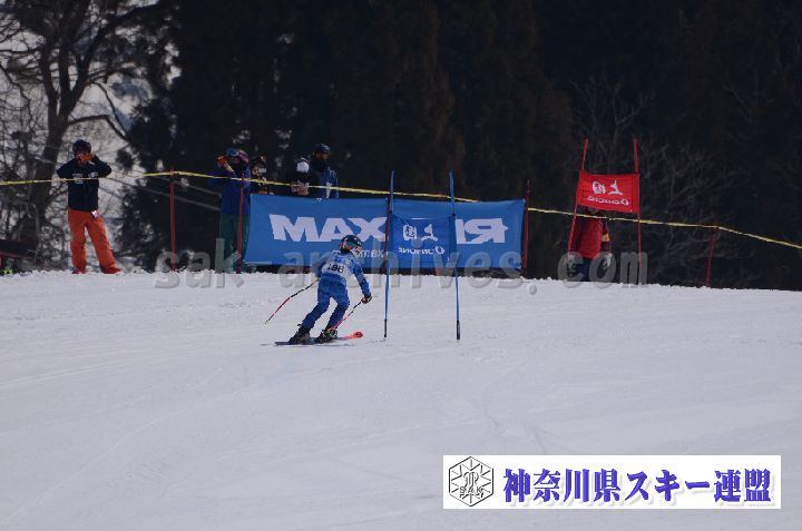 190302_121846_0.jpg