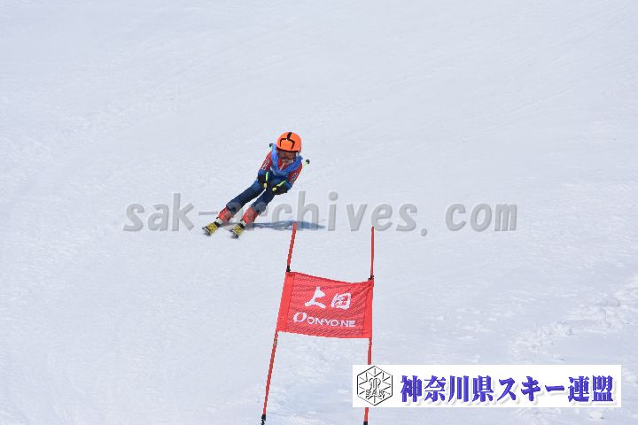190302_121908_0.jpg
