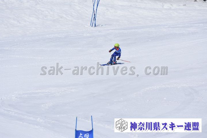 190302_122142_1.jpg