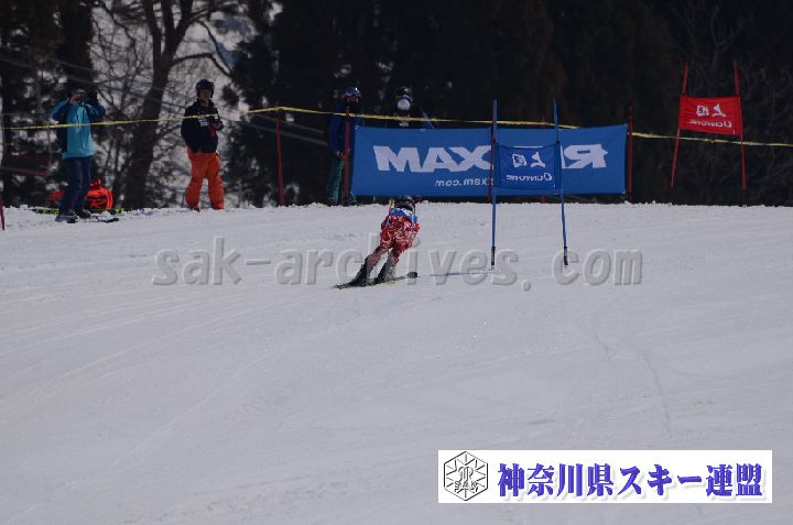 190302_122319_0.jpg