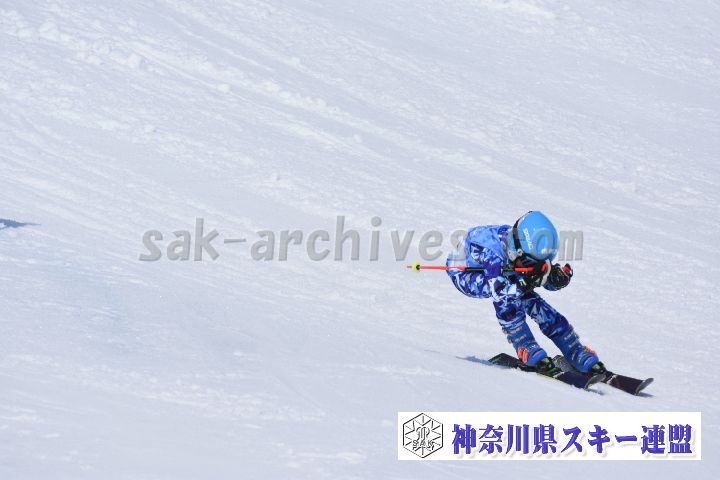 190302_122508_5.jpg