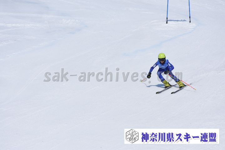 190302_111917_2.jpg