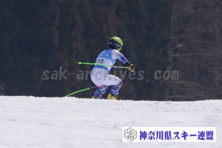 190302_113132_3.jpg