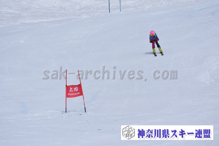 190303_103936_0.jpg