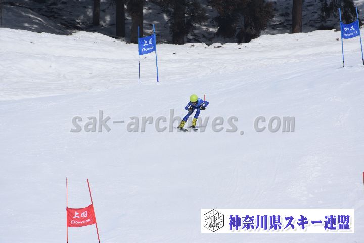190303_110536_0.jpg
