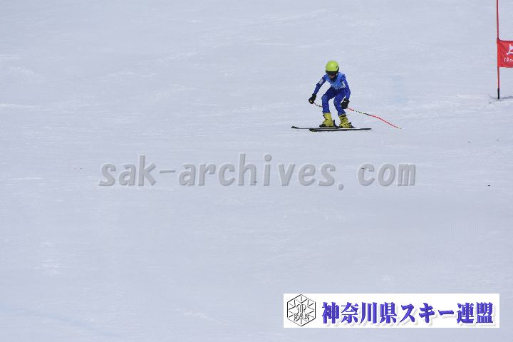 190303_110538_2.jpg