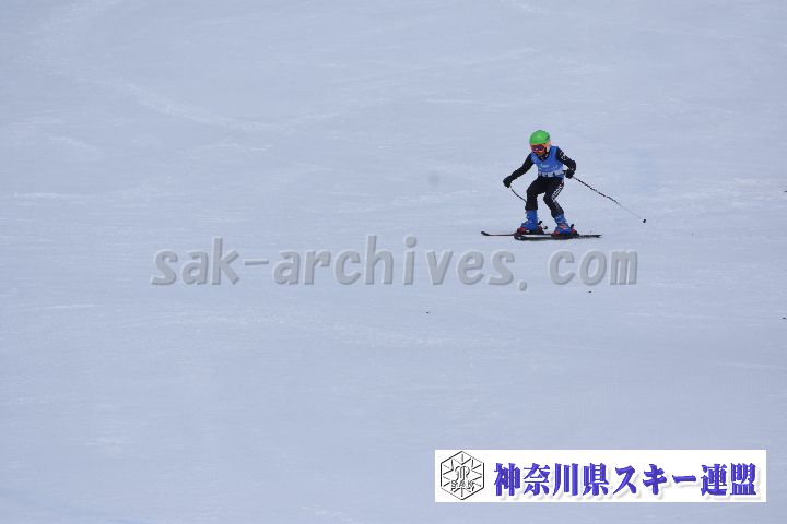 190303_111339_4.jpg
