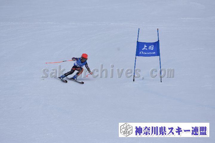 190303_111745_2.jpg