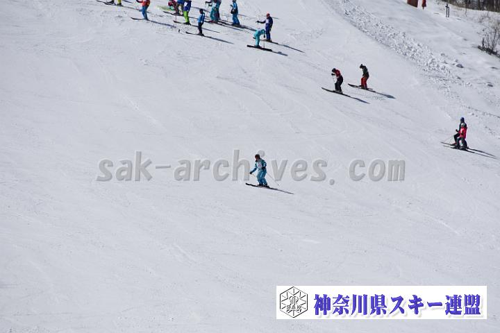 20190302-110453-0.jpg