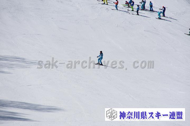 20190302-110454-0.jpg