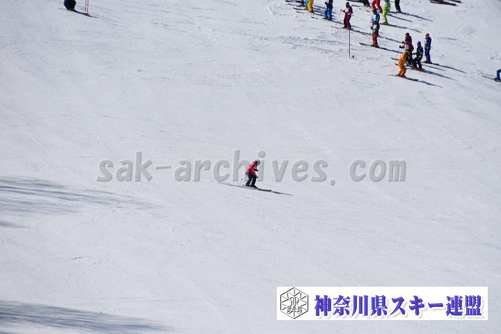 20190302-111739-0.jpg