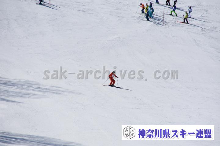 20190302-115826-0.jpg