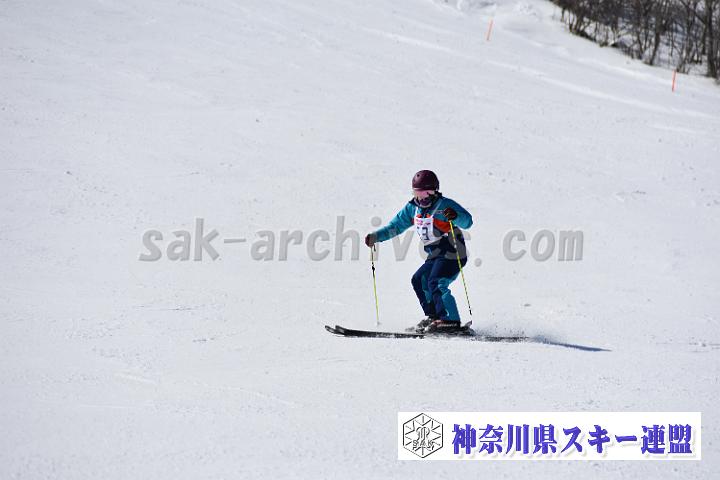 20190302-115934-0.jpg