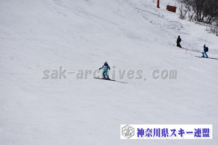 20190302-120004-0.jpg