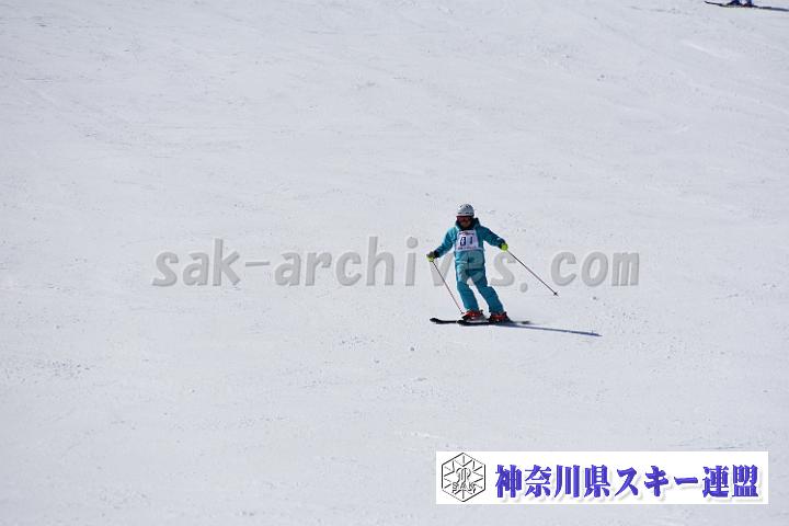 20190302-120015-1.jpg
