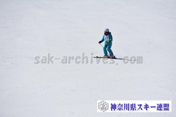 20190302-120017-1.jpg