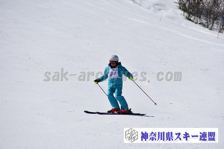 20190302-120021-0.jpg
