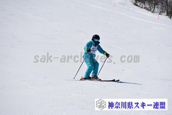 20190302-120117-1.jpg