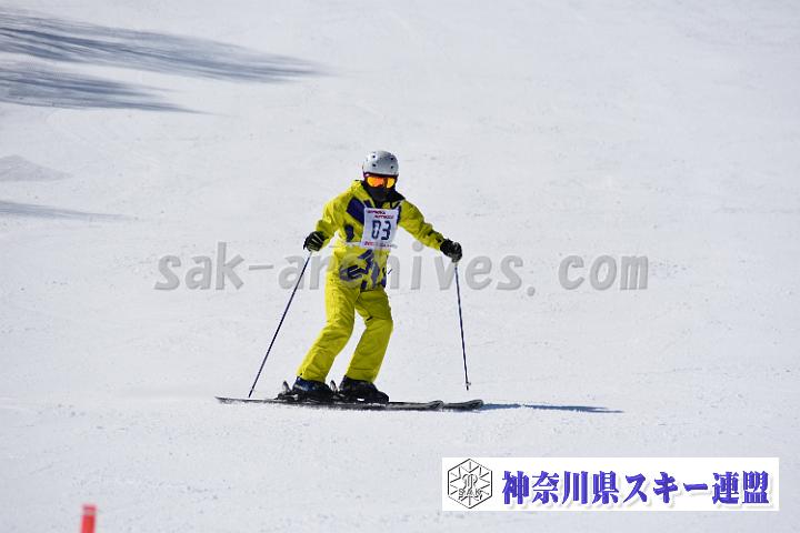 20190302-120213-0.jpg