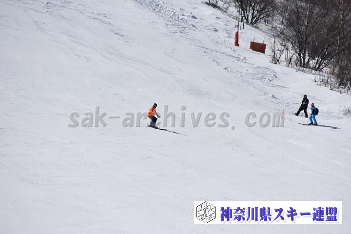 20190302-120237-0.jpg