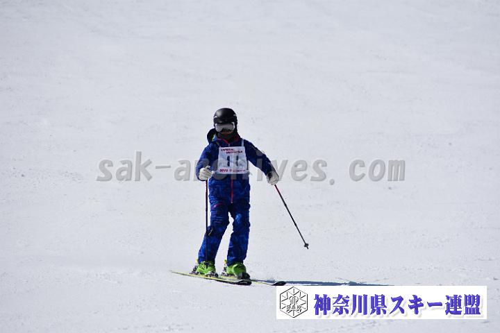 20190302-120809-0.jpg