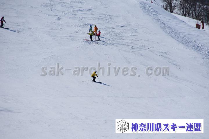 20190302-120957-0.jpg