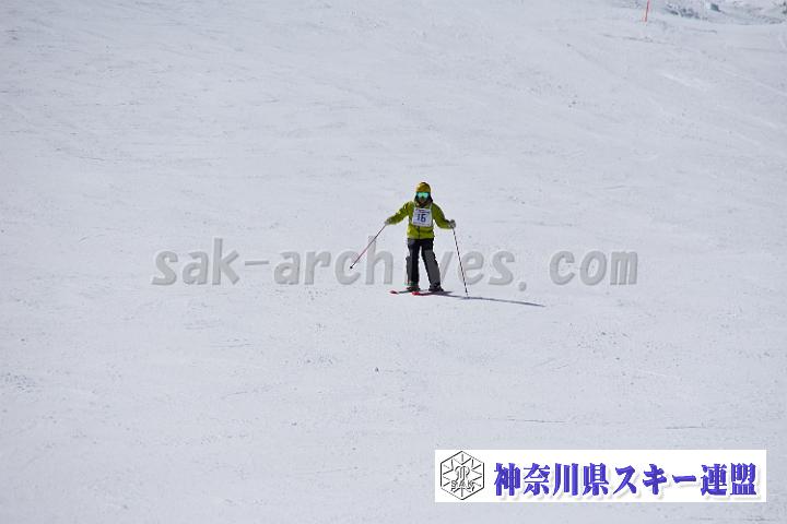 20190302-121145-1.jpg