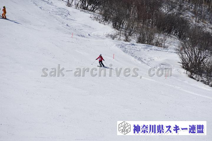 20190302-121433-0.jpg