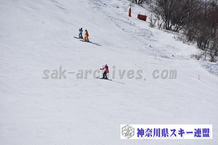 20190302-121437-0.jpg