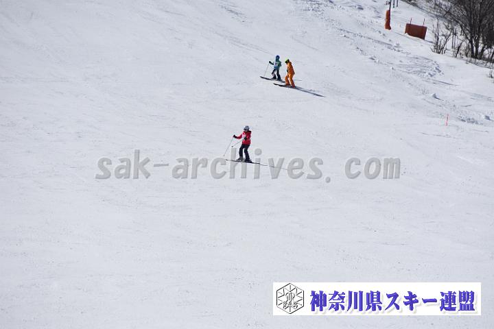 20190302-121438-0.jpg