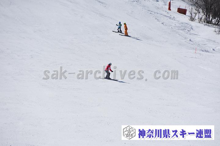 20190302-121441-0.jpg