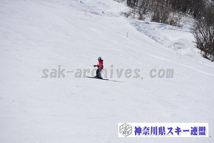 20190302-121453-0.jpg