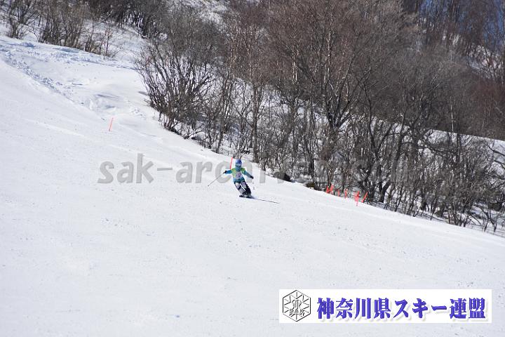 20190302-121545-0.jpg