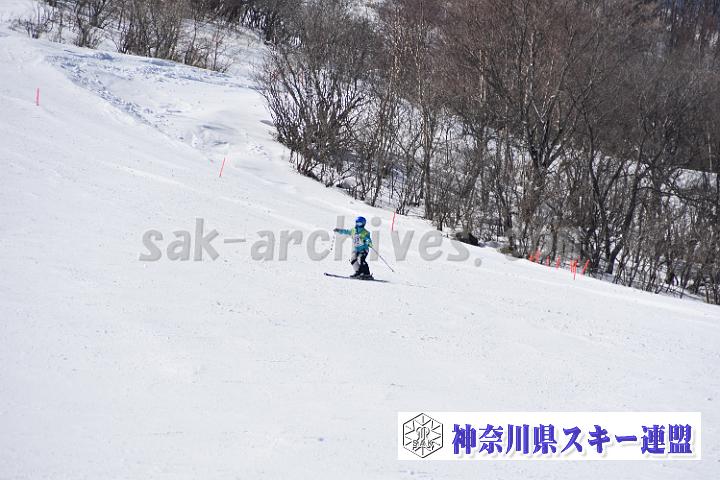 20190302-121547-0.jpg