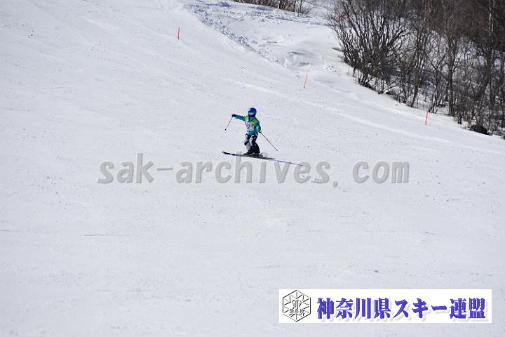 20190302-121550-0.jpg