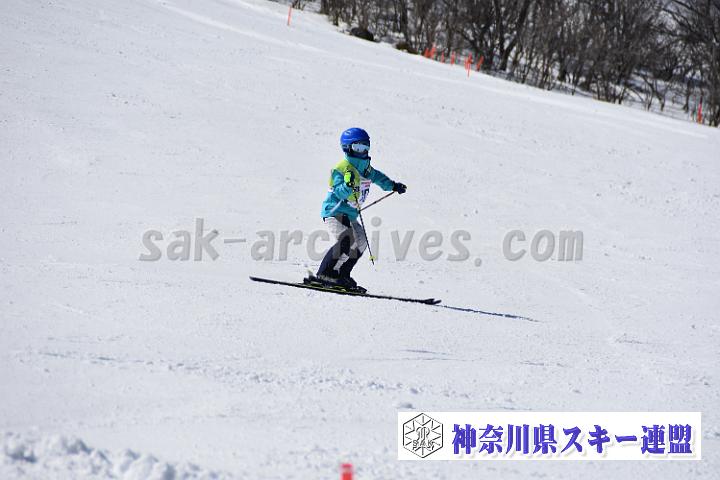 20190302-121603-0.jpg