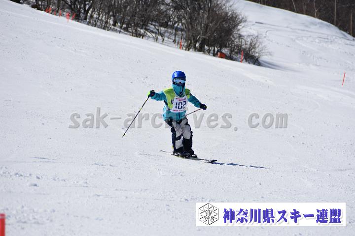 20190302-121604-0.jpg