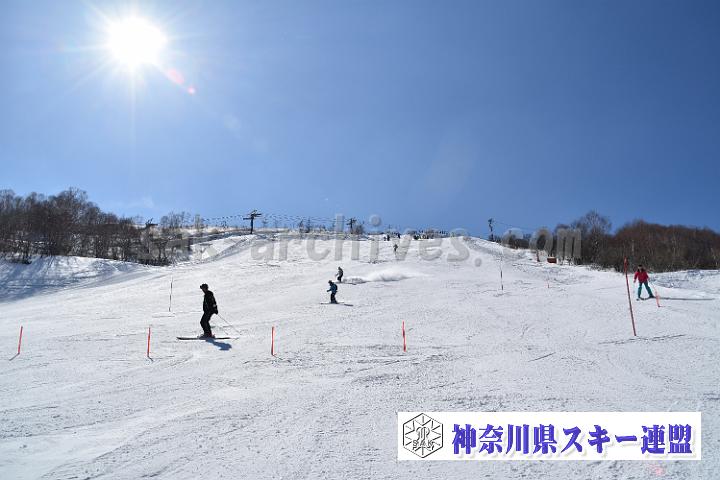 20190302-130443-0.jpg